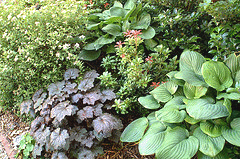 Color-and-Texture-in-the-shade.gif