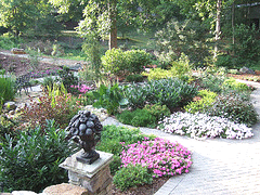 Backyard.gif