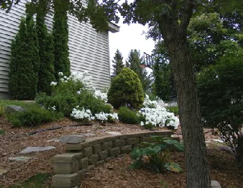 Sun-and-Shade-hill-by-Midwest Gardening.jpg