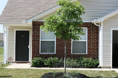 foundation-planting.gif
