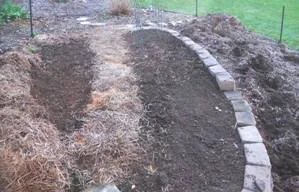 Straw Mulch in the garden.jpg