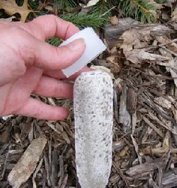Fertilizer-spike-cap-by-Midwest Gardening.jpg