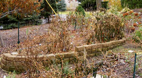putting-the-vegetable-garden-to-bed-by-Midwest Gardening.gif