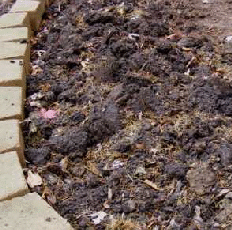 Rough-till-shredded-leaves-and-grass-by-Midwest Gardening.gif