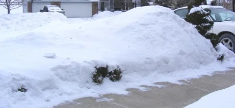 Relentless-Winter-by-Midwest Gardening.jpg