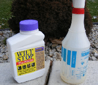 Winterize-antidessicant by Midwest Gardening.gif
