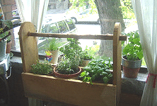 Indoor-Herb-Garden.gif