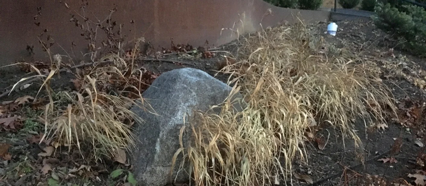Fall by Midwest Gardening.JPG