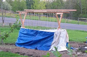 fall-frost-protection-by-inkandpen.jpg