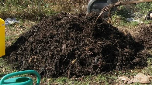 Compost Heap.jpg