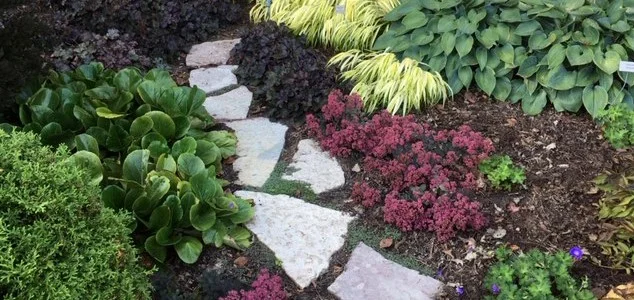 More Plants by Midwest Gardening.jpg