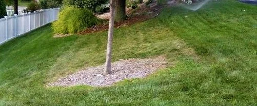 Planning a Garden Bed.jpg