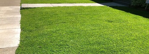 EcoSeed Image