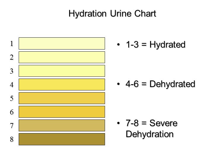 Urine Hydration Chart Australia