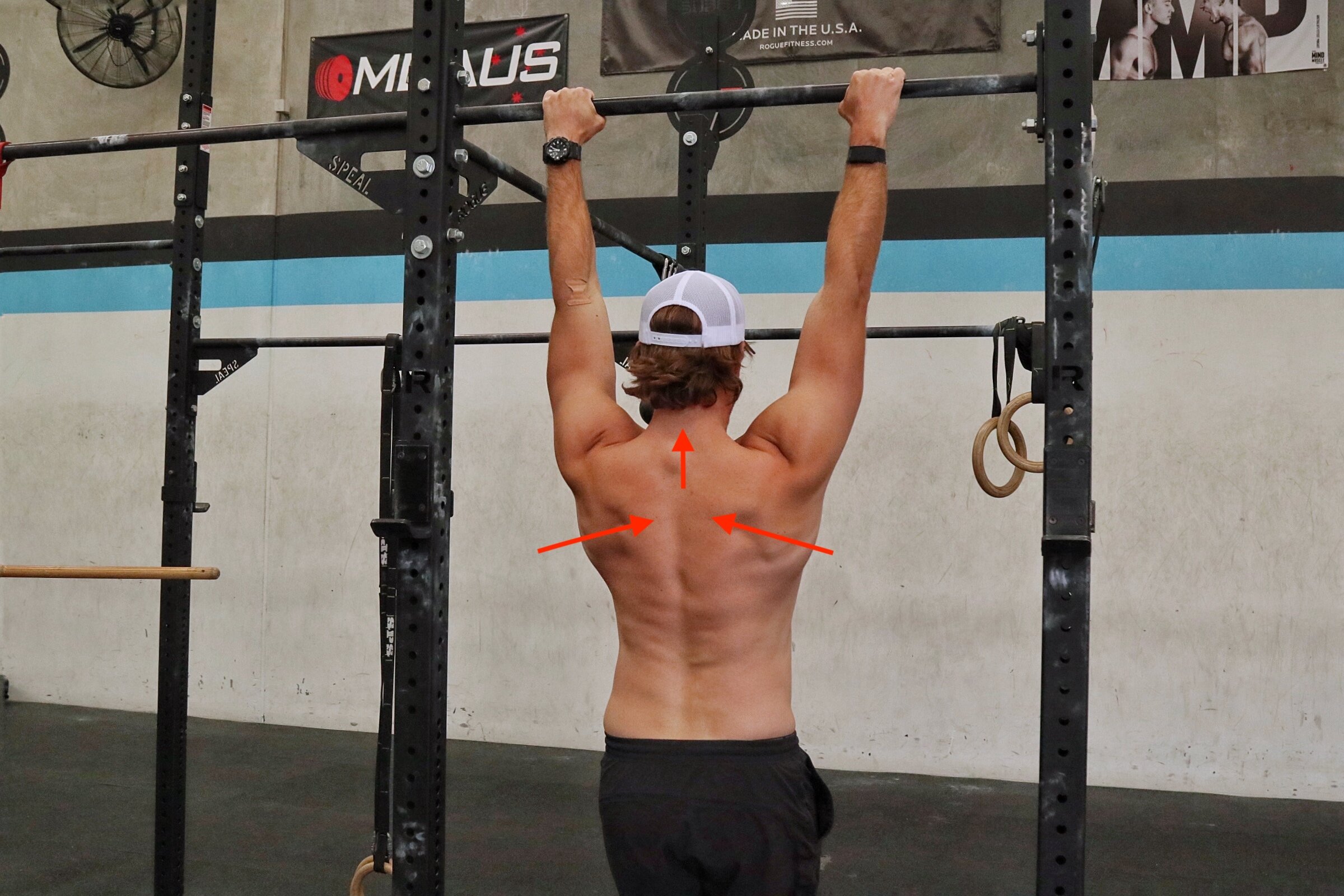 Bestemt evaluerbare Garanti The Top 10 Accessory Exercises For Pull Ups — Accelerate Strength
