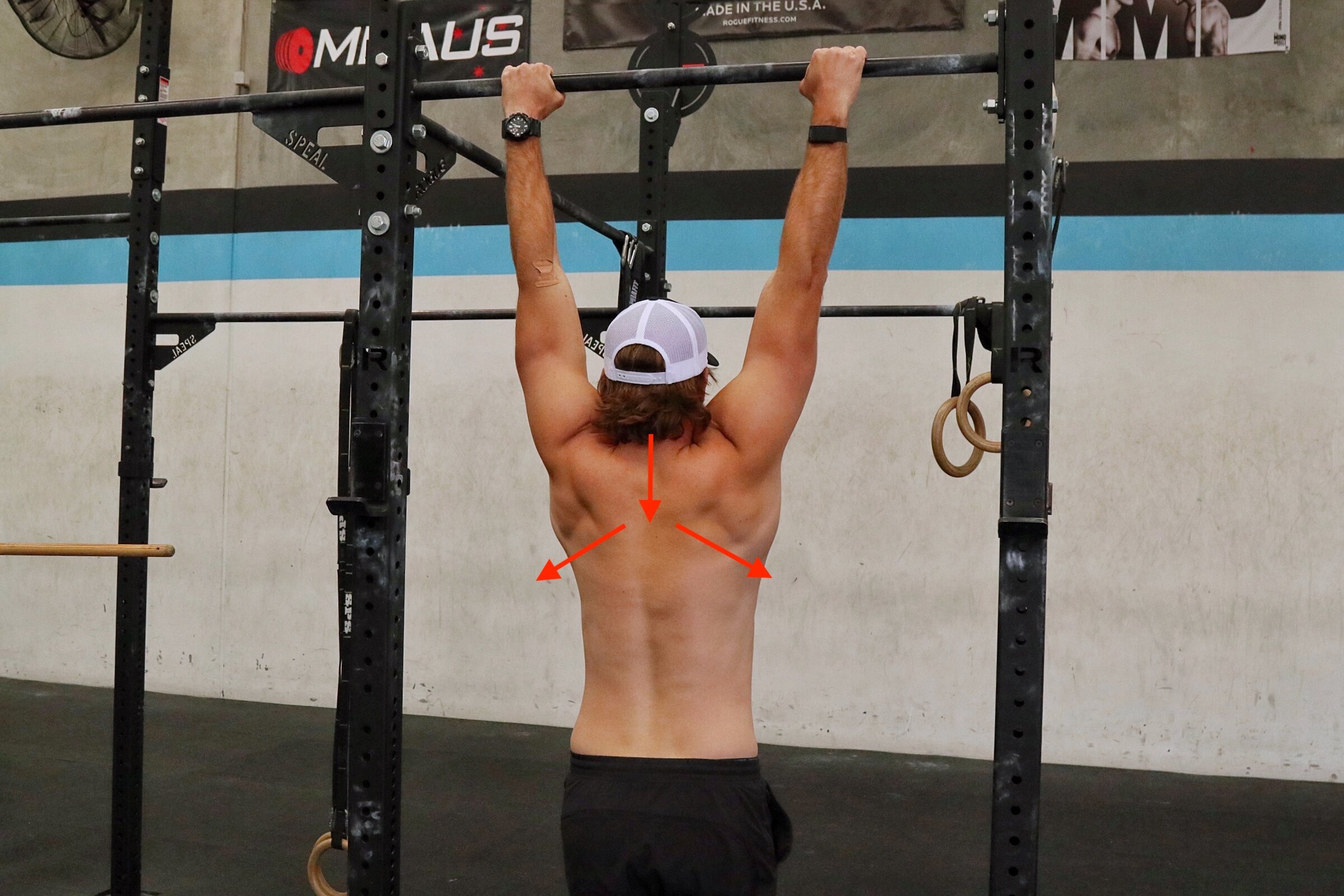 8 Best Back Exercises Using A Pull Up Bar