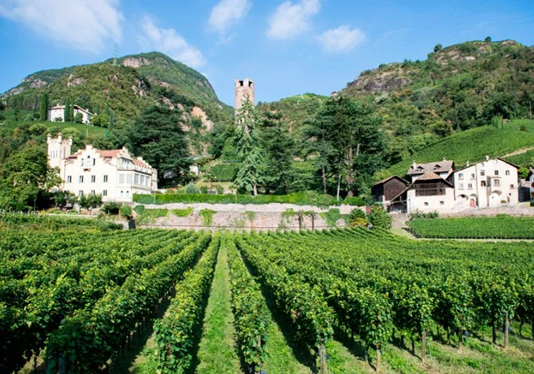 ROTTENSTEINER WINE DINNER