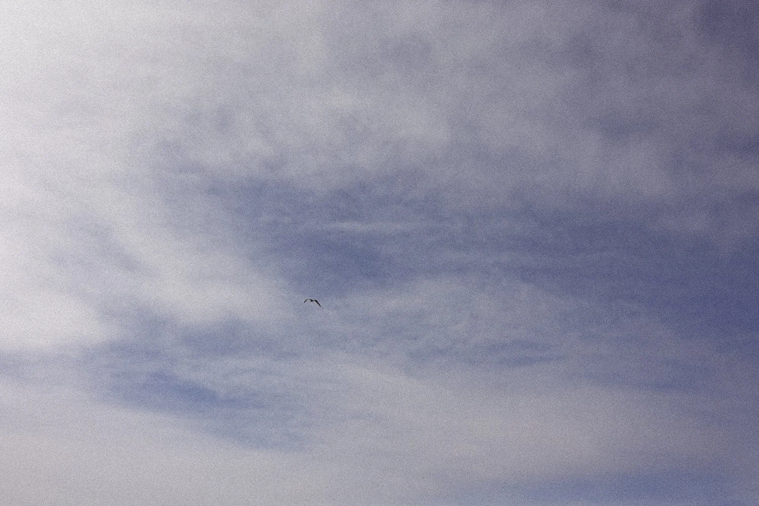 20241126_0889-3 copy.jpg