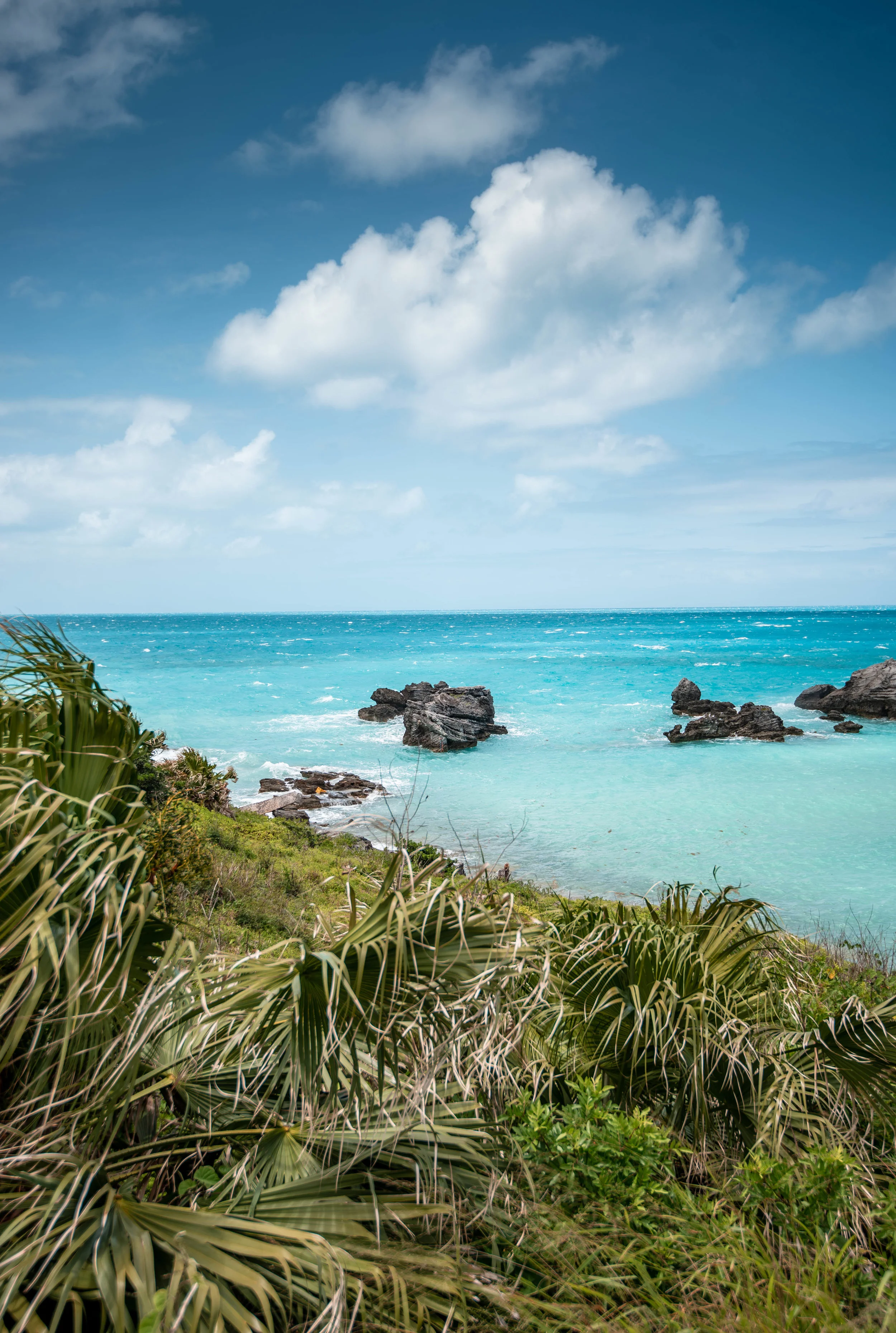Client Spotlight: Bermuda 