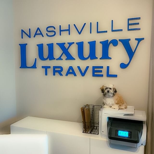 Meet Smokey, Nashville Luxury Travel's official Coronavirus therapy pup!⁠
⁠
Life has been stressful for most of us, and the virus hit the travel industry hard. Our clients, friends, family and ⁠
colleagues frequently check in with us to see how we ar