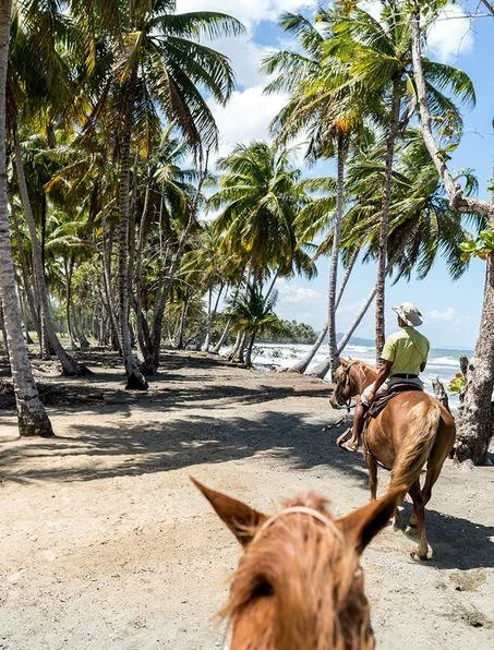 A Week In The Dominican Republic...