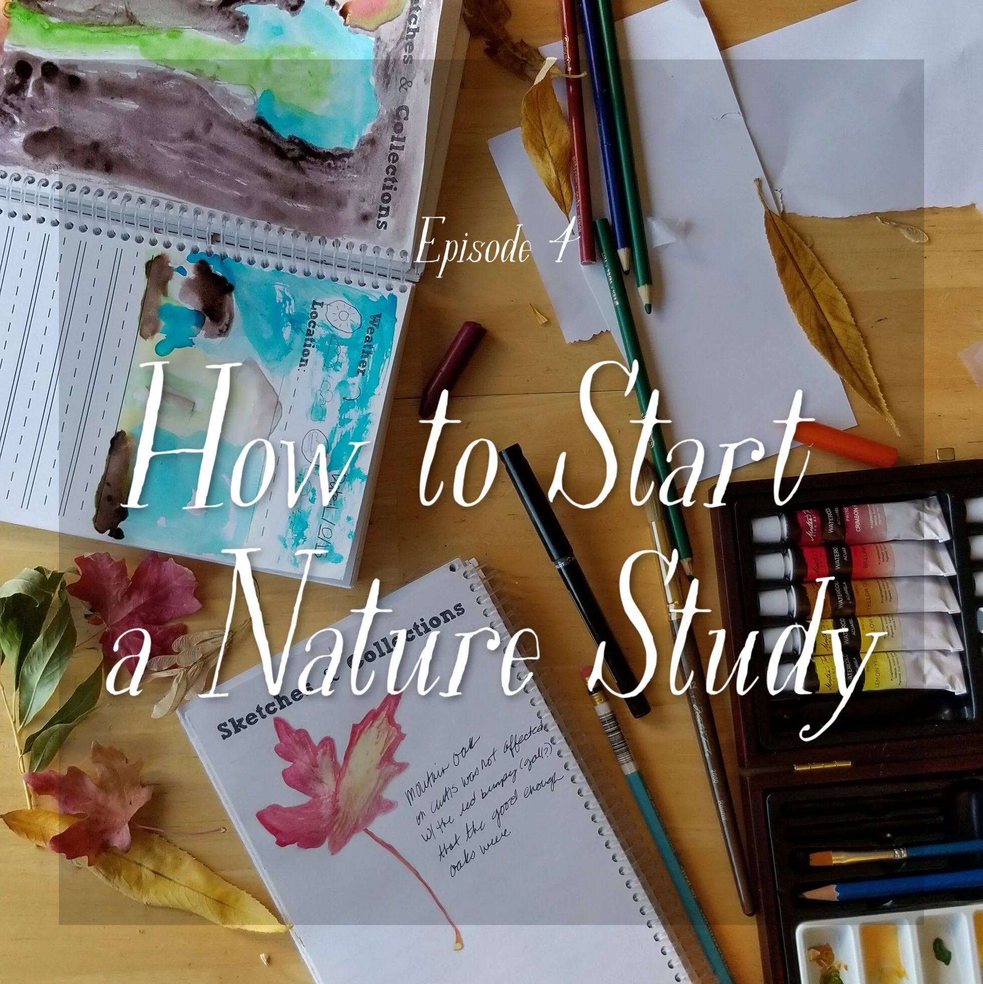 E.4 How to Start a Nature Study