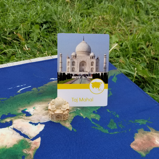 Continent Study Hatching Curiosity