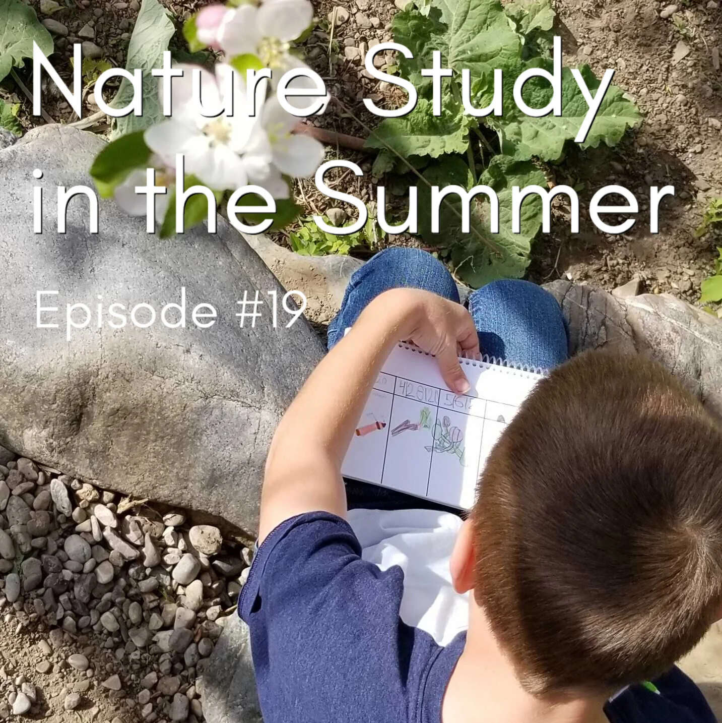 E.19 Nature Study in the Summer