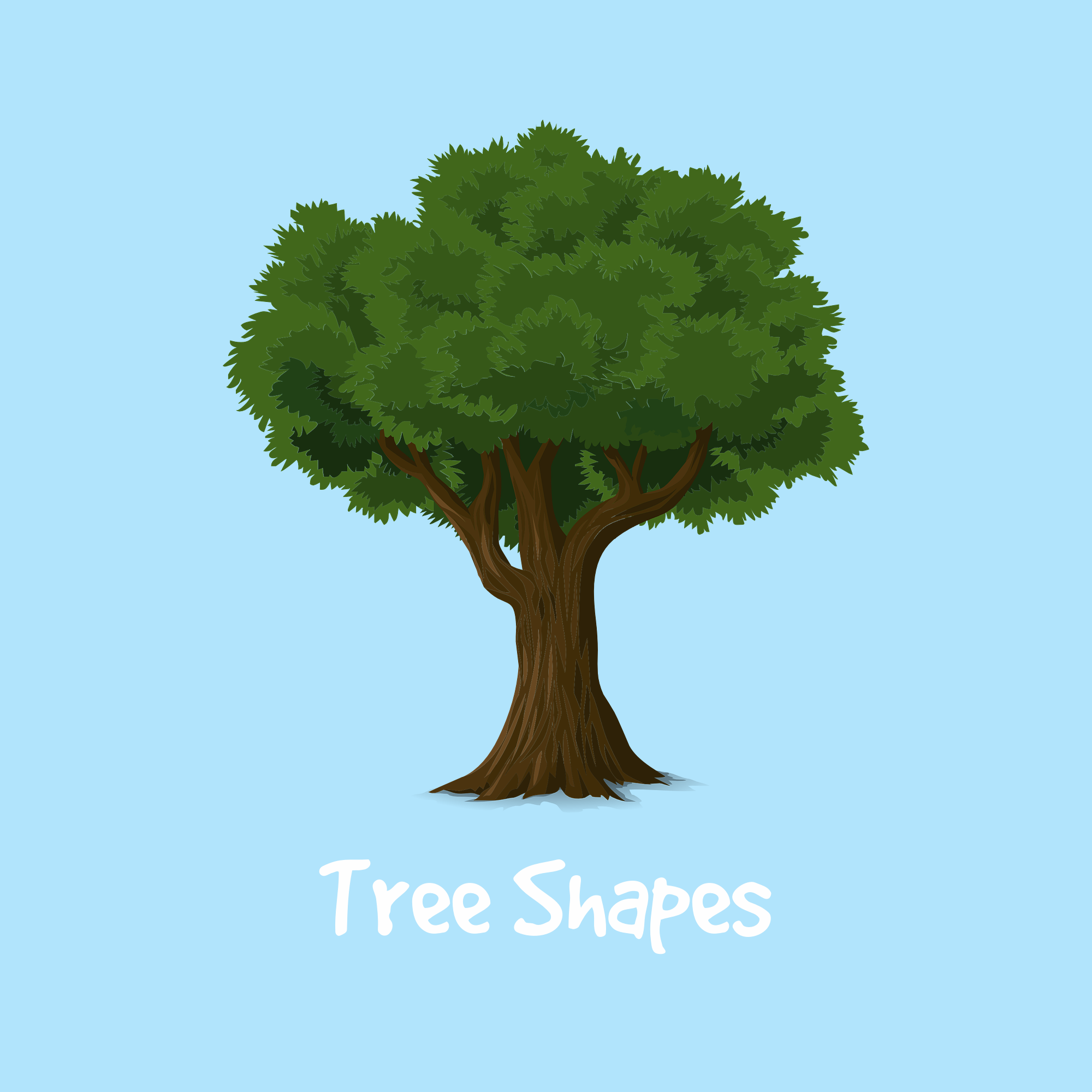 Tree Shapes