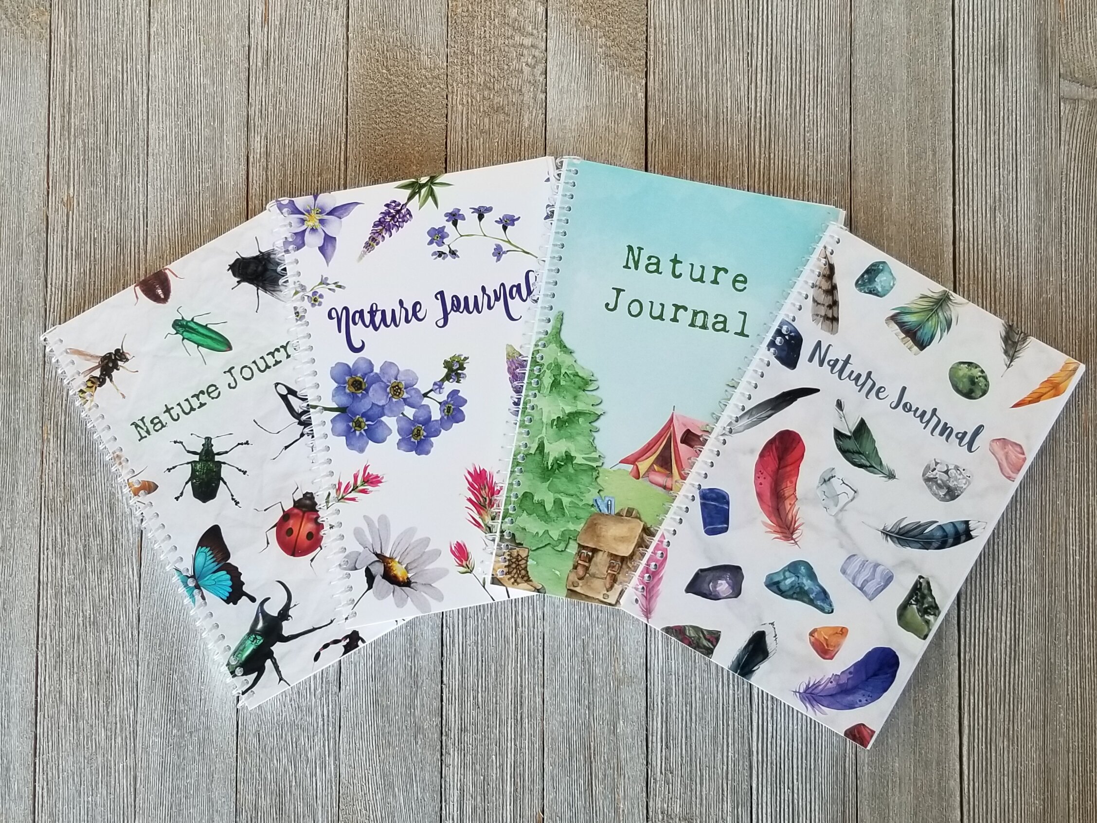 My Nature Journal Kit — Drawn Into Nature