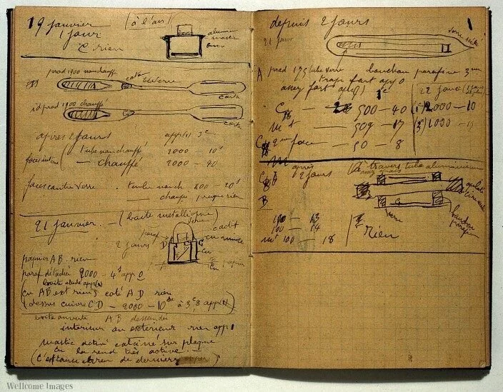 marie-curie-notebook.jpg