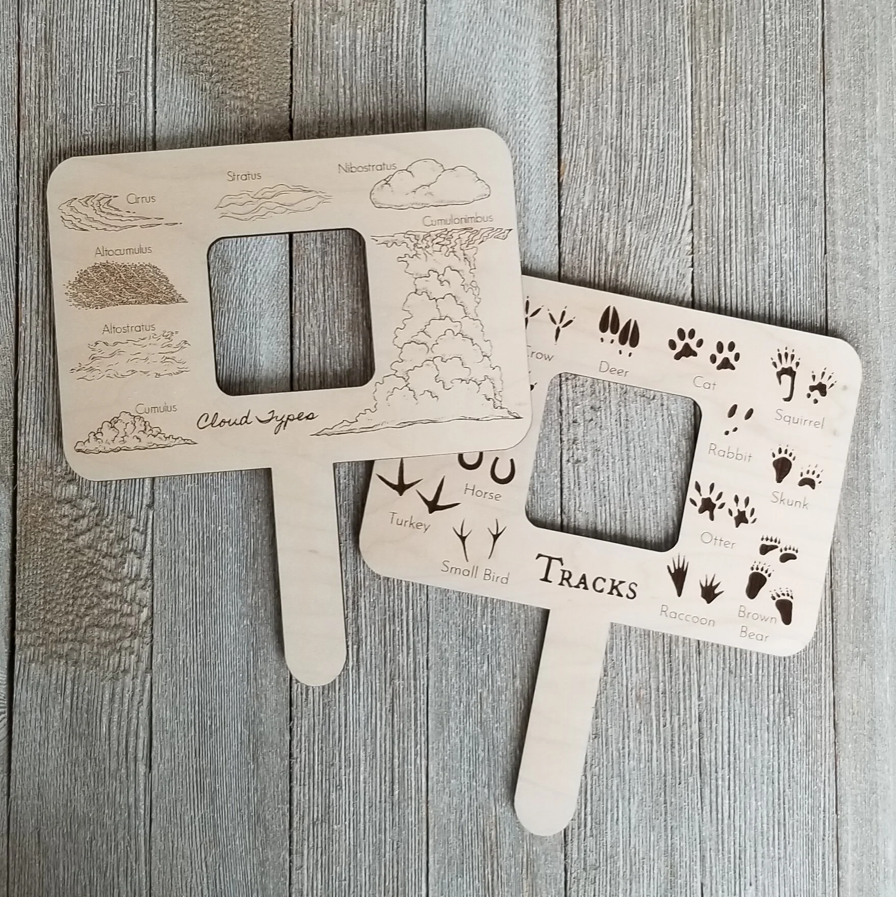 Cloud & Animal Track Viewer