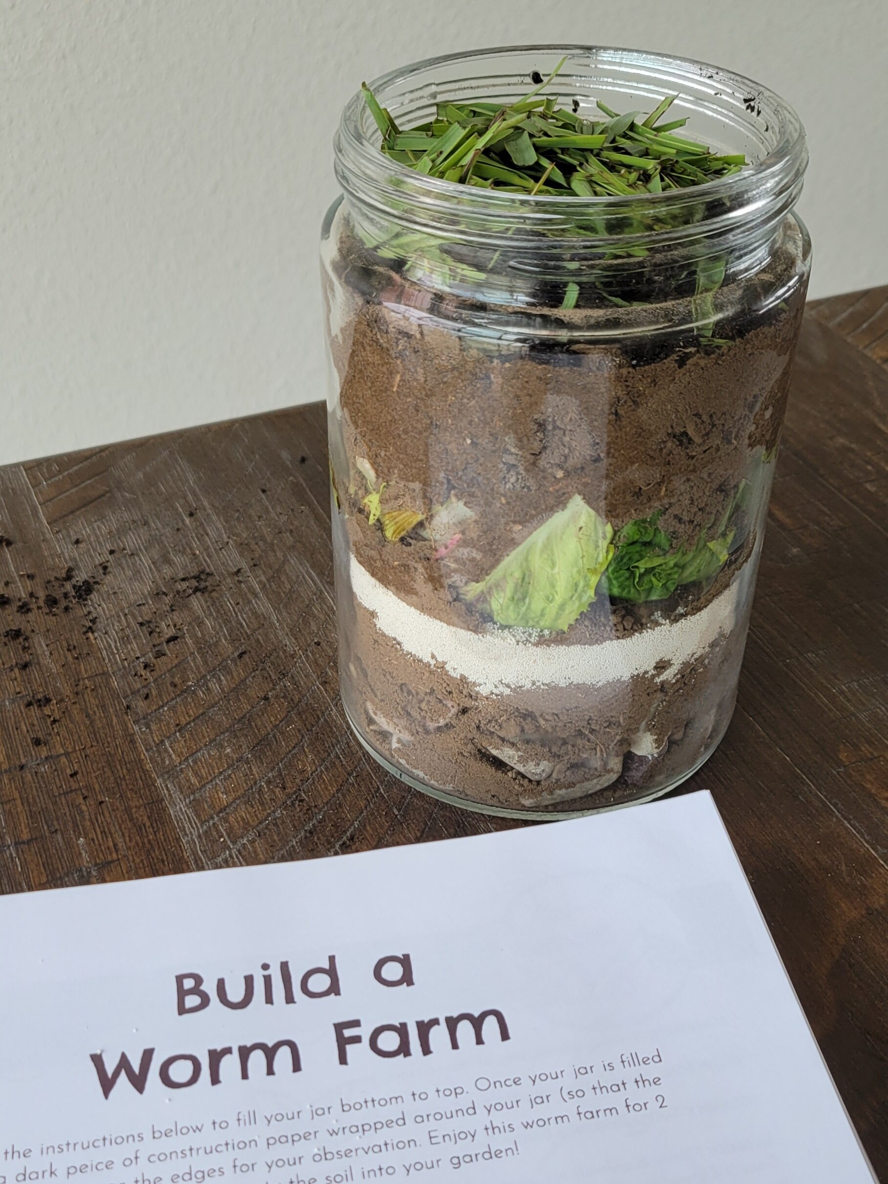 How to Build a Worm Farm — Hatching Curiosity