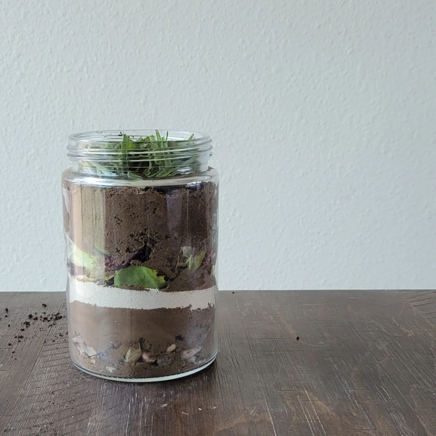 How to Build a Worm Farm — Hatching Curiosity