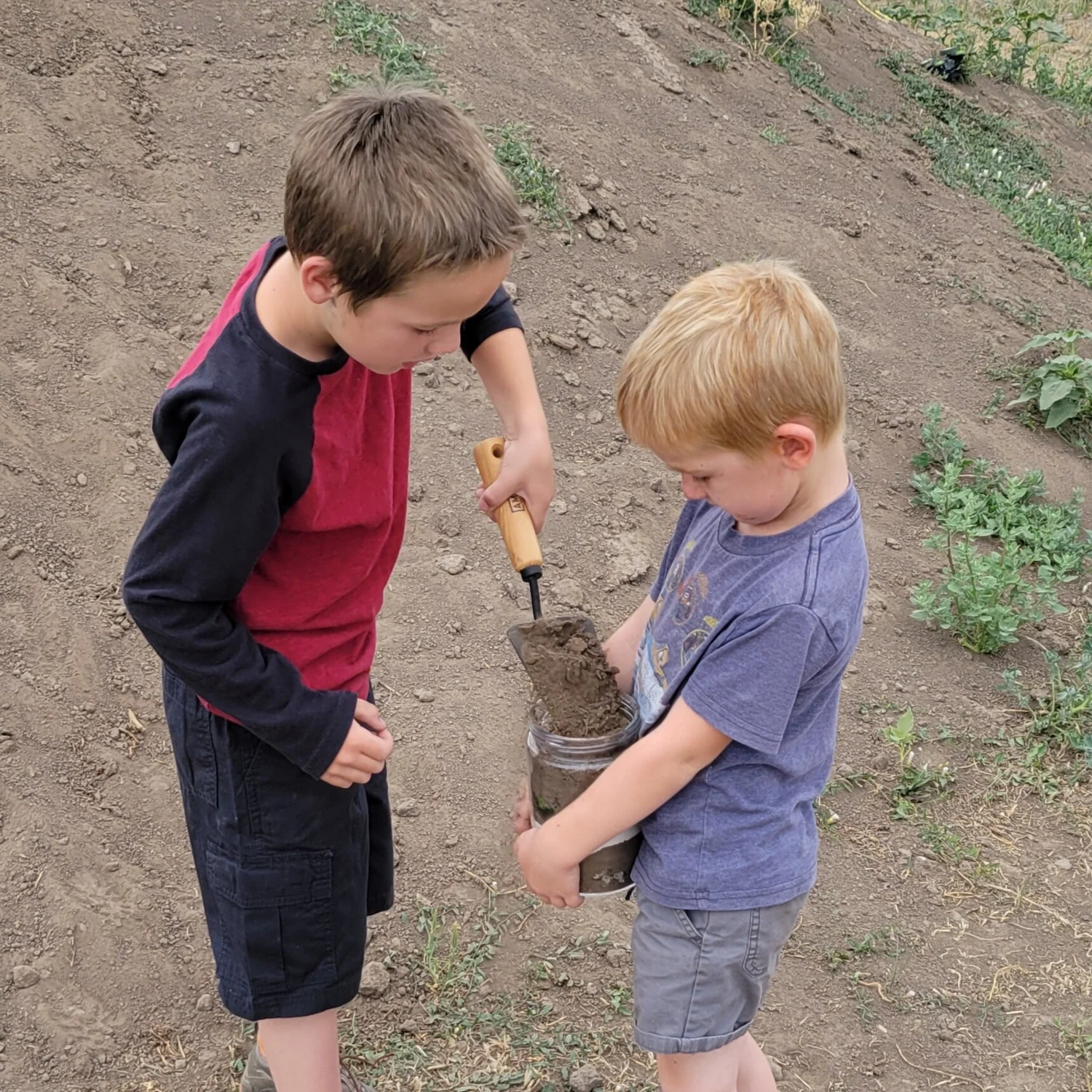 How to Build a Worm Farm — Hatching Curiosity