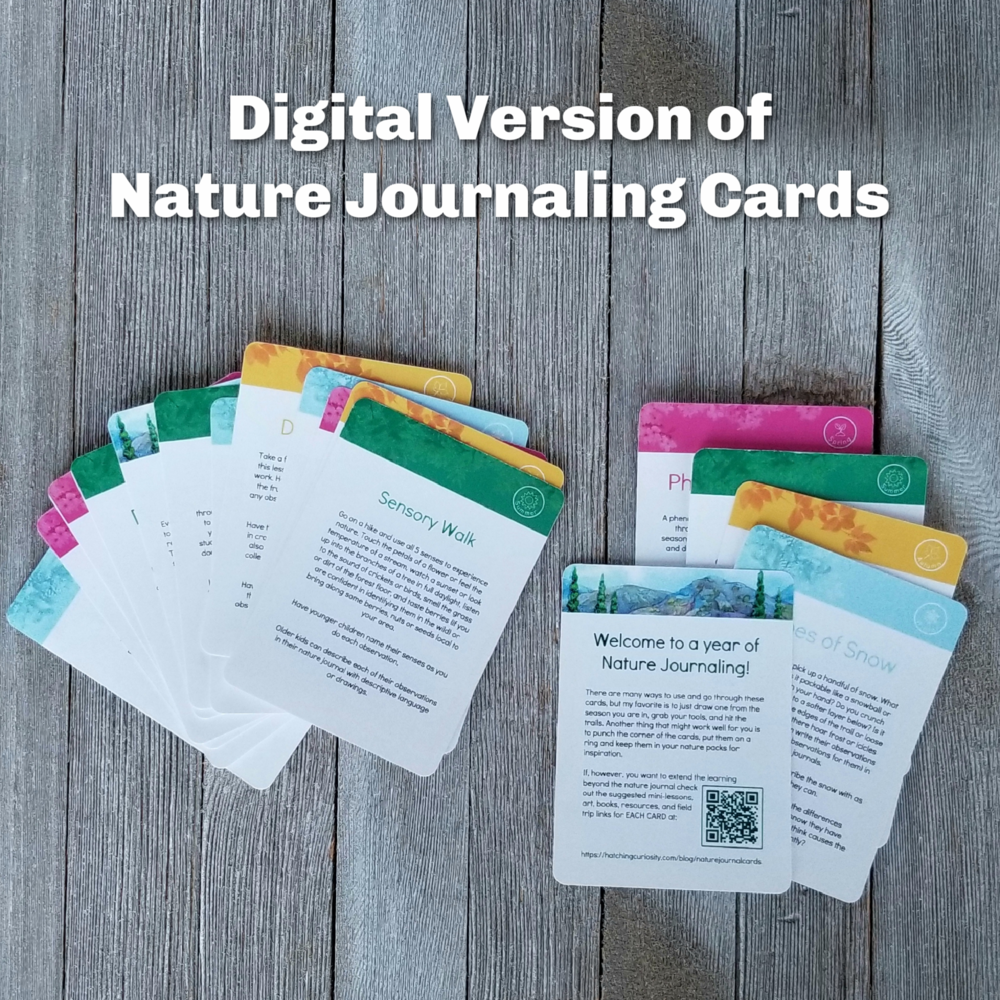 Printable Version of A Year of Nature Journaling Activity Cards