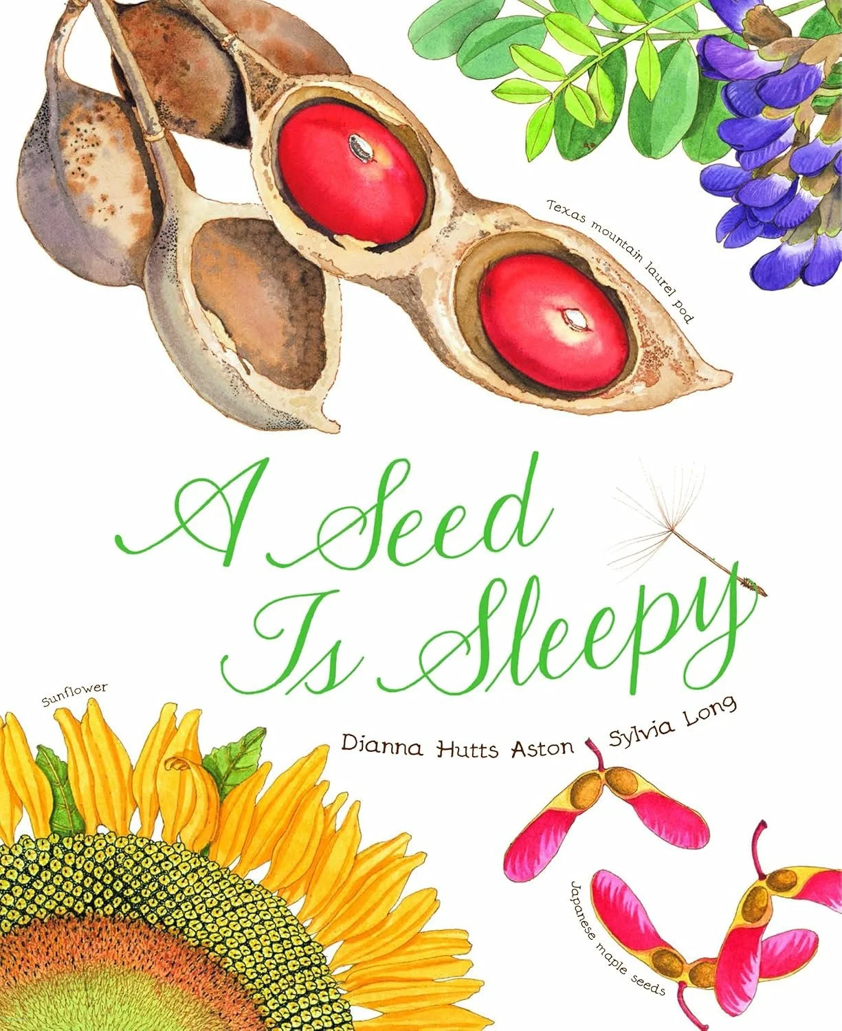 A Seed is Sleepy Cover