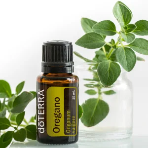 Oregano.jpg
