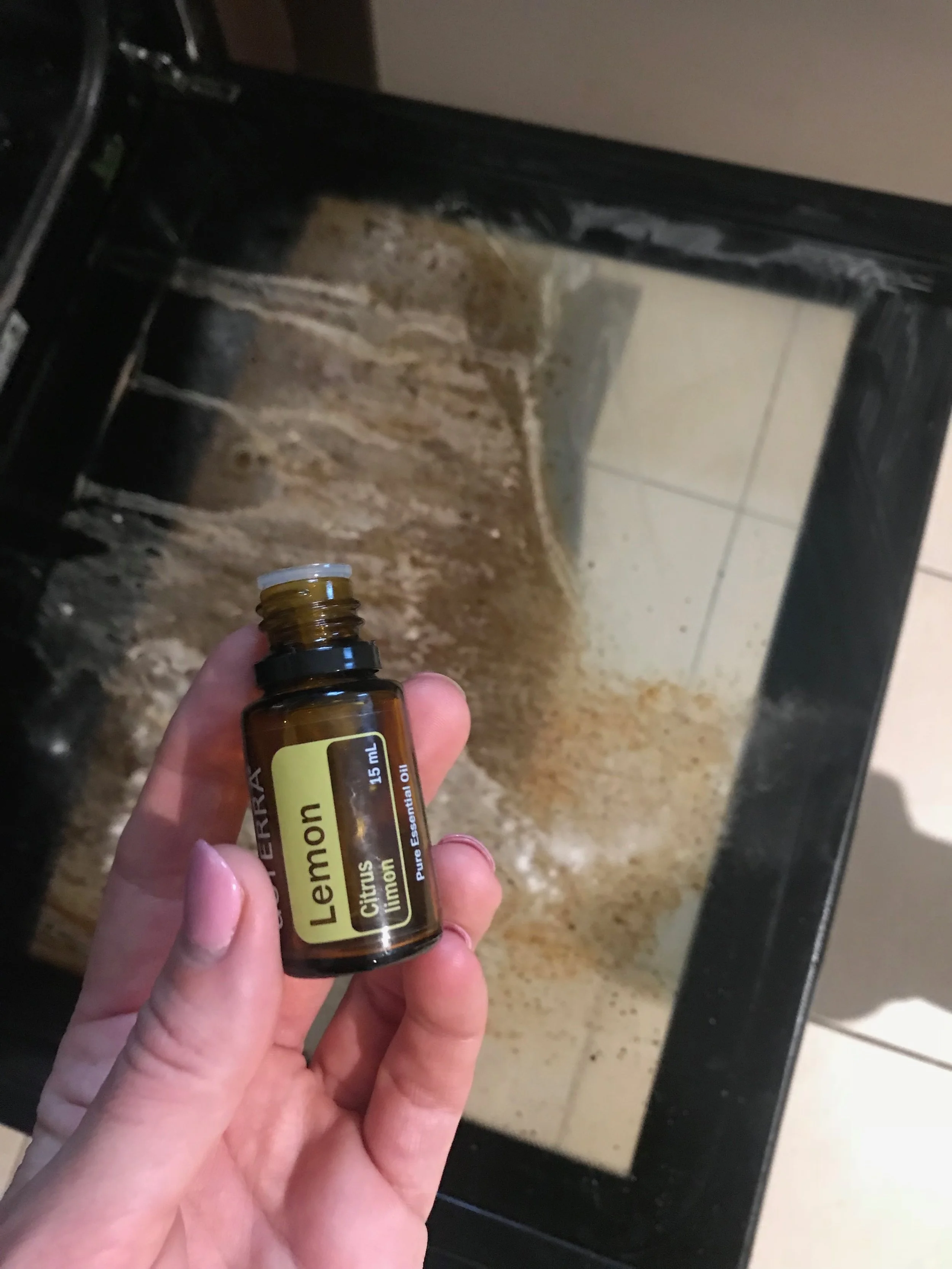 Green clean your home