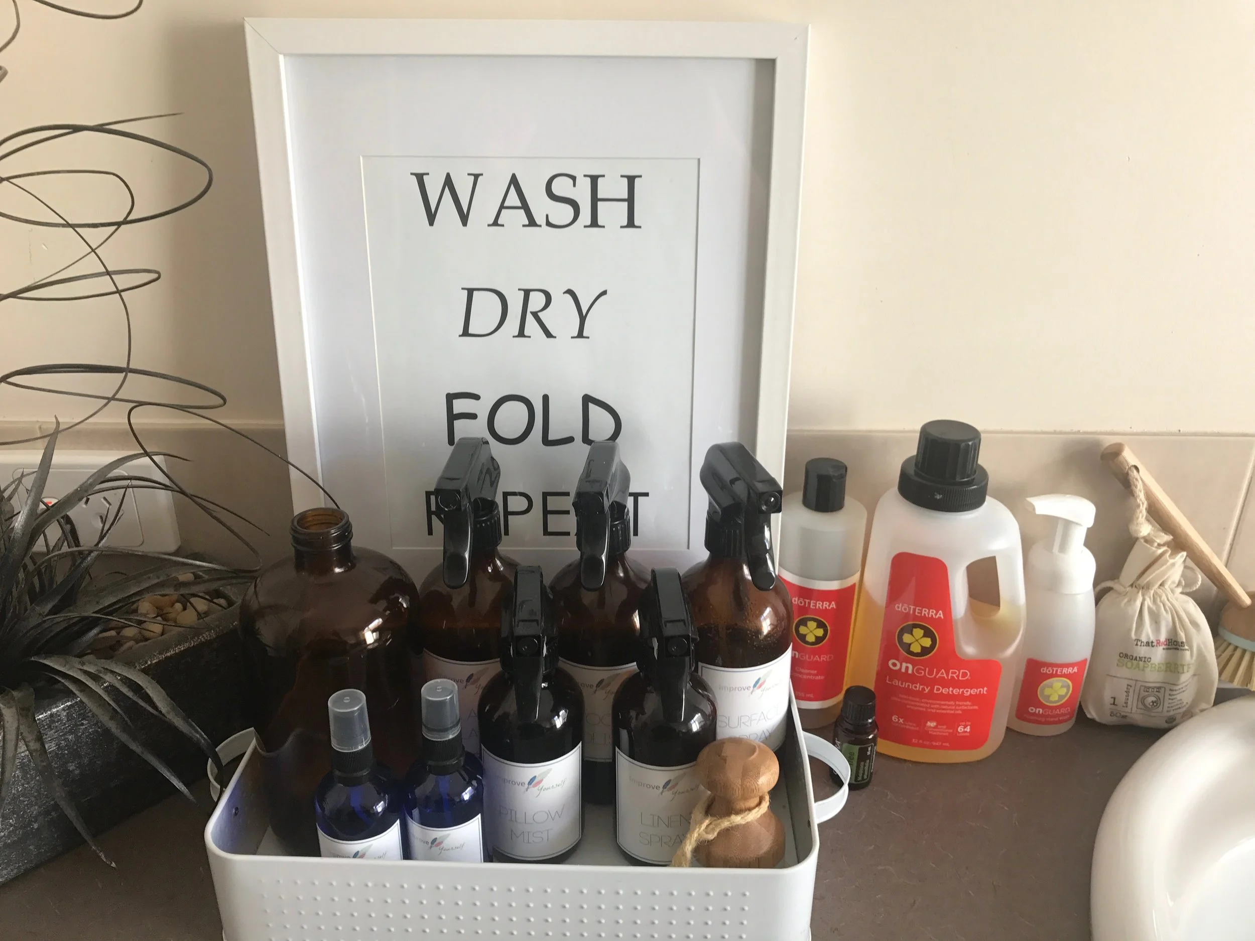 onguard cleaning Improve yourself .jpeg