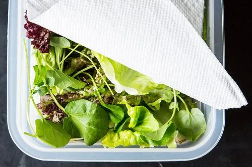 green leafy salad.jpg