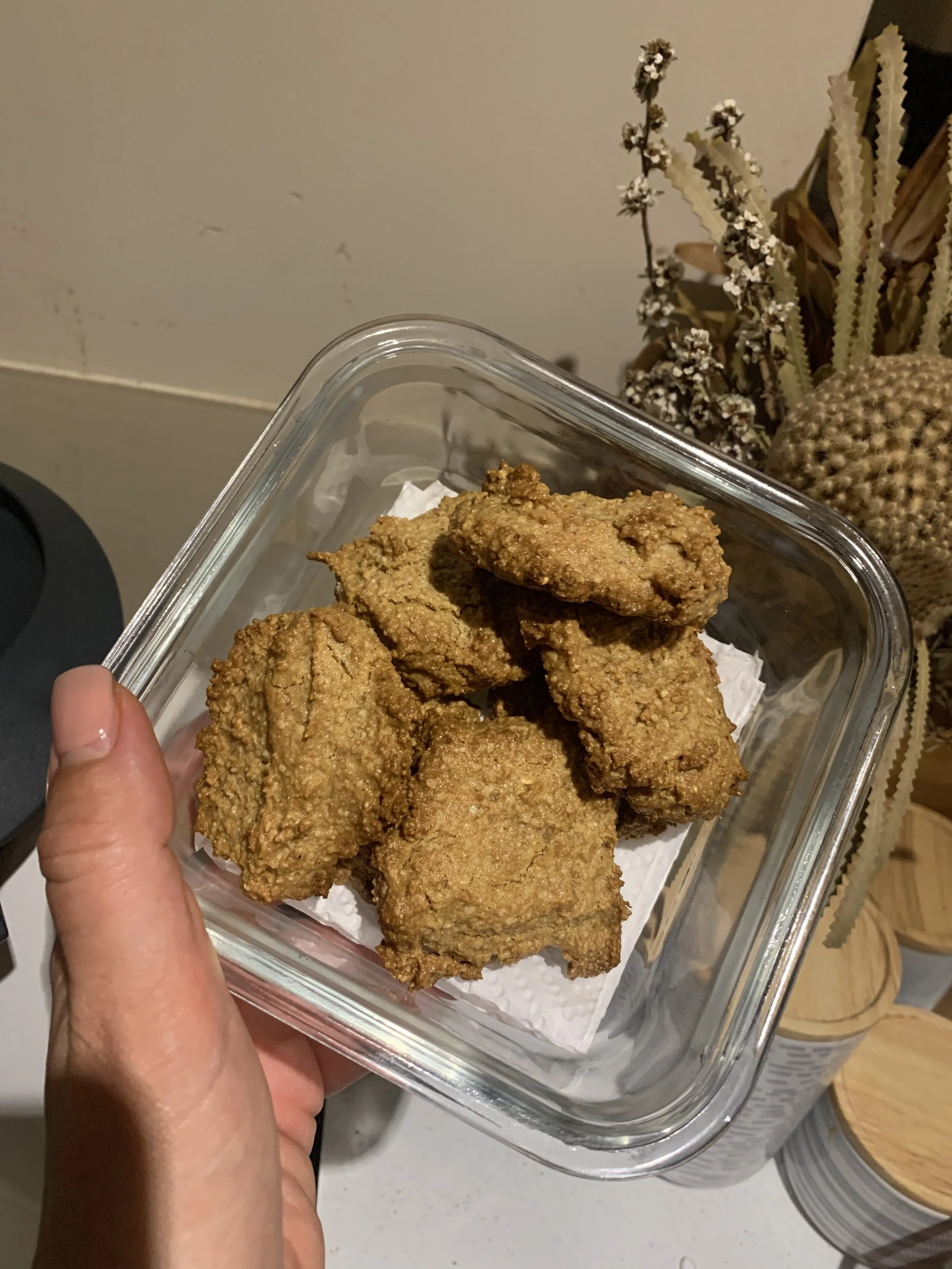 Healthy ANZAC Biscuits GF DF V