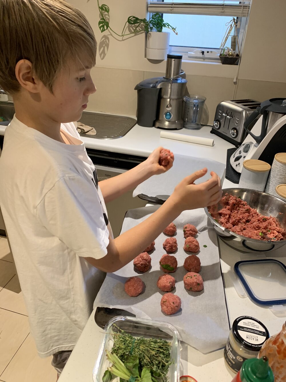 Meatballs Jayden .jpg