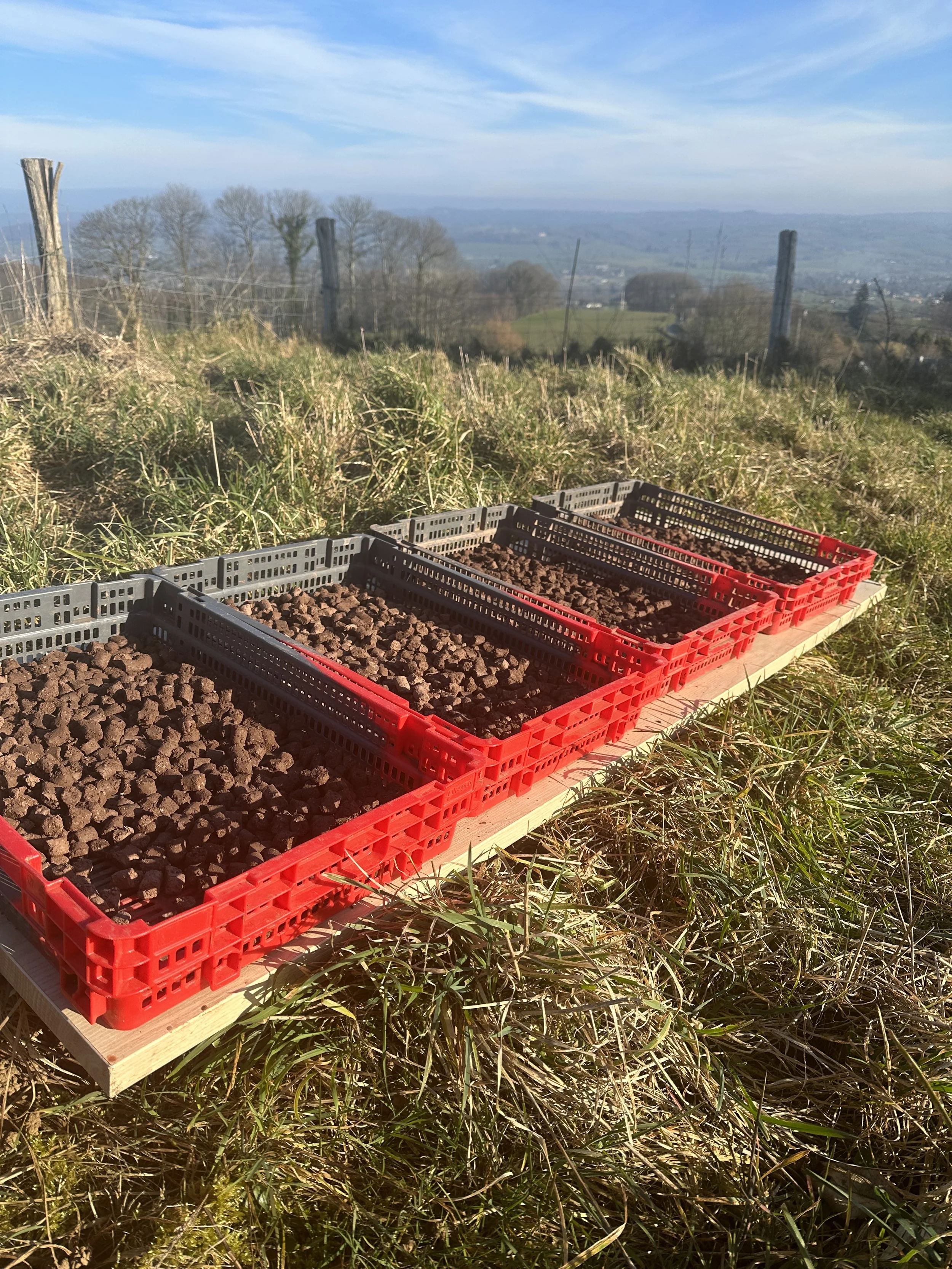 Habitat restoration in Europe