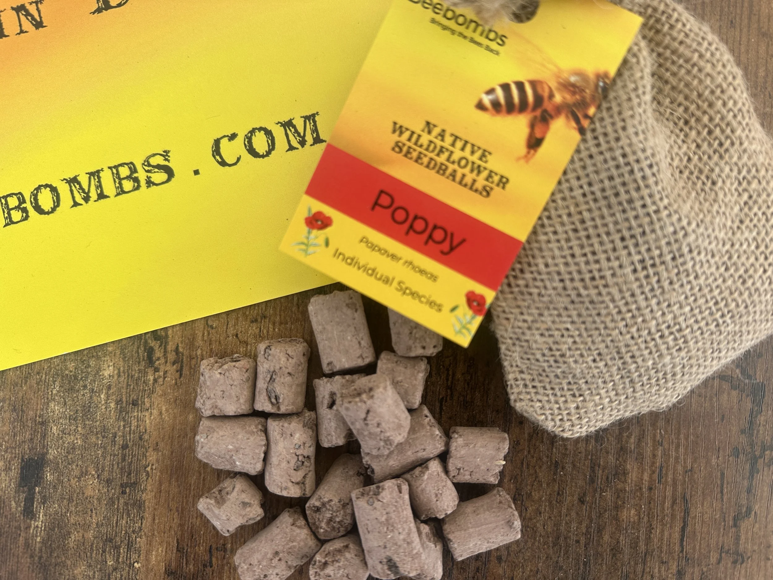 Do Seed Bombs Really Work?