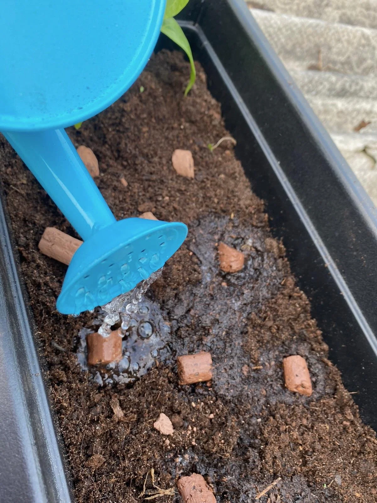 Any time from now is a good time to get your Beebombs out (just don’t forget the water)