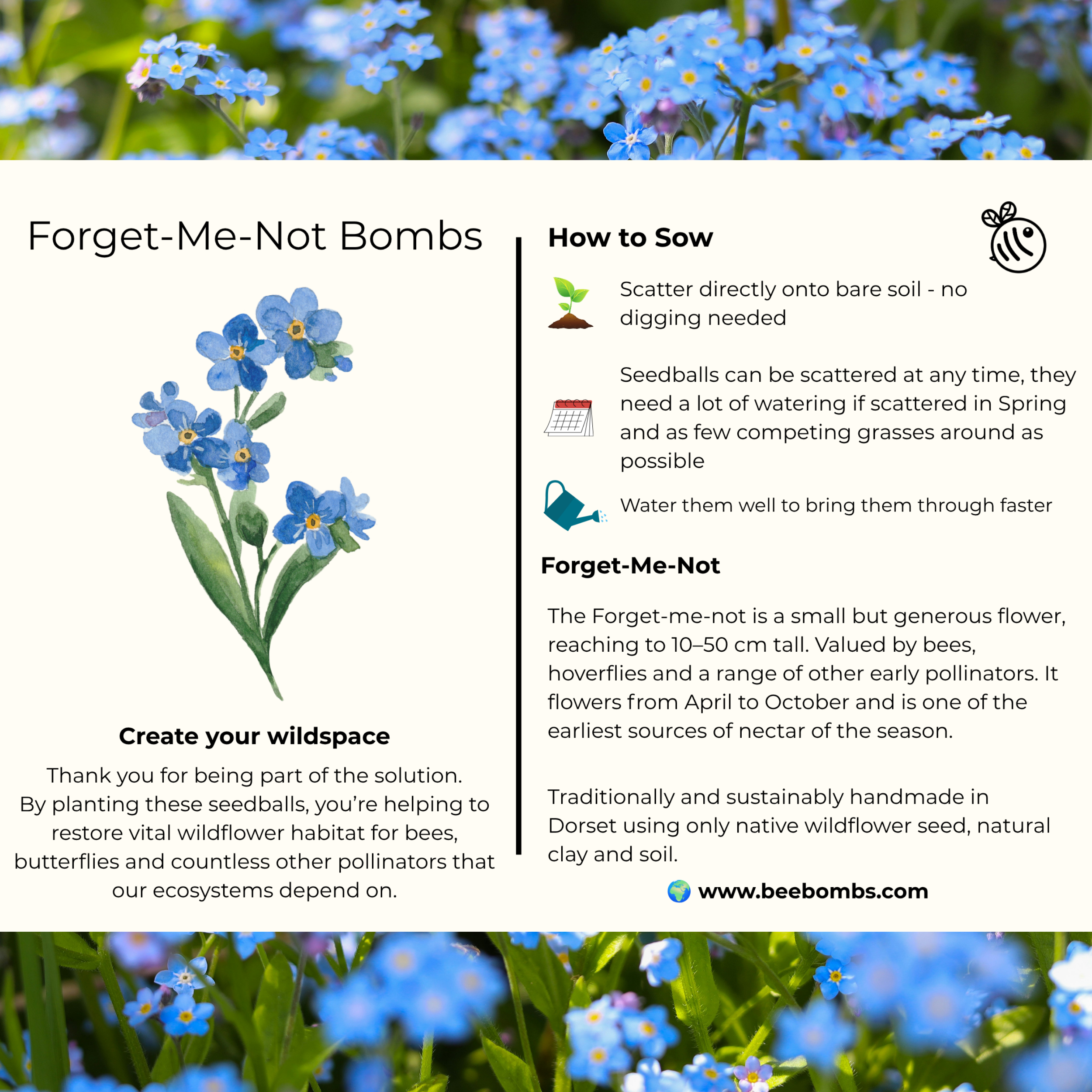 Forget-Me-Not Info Card