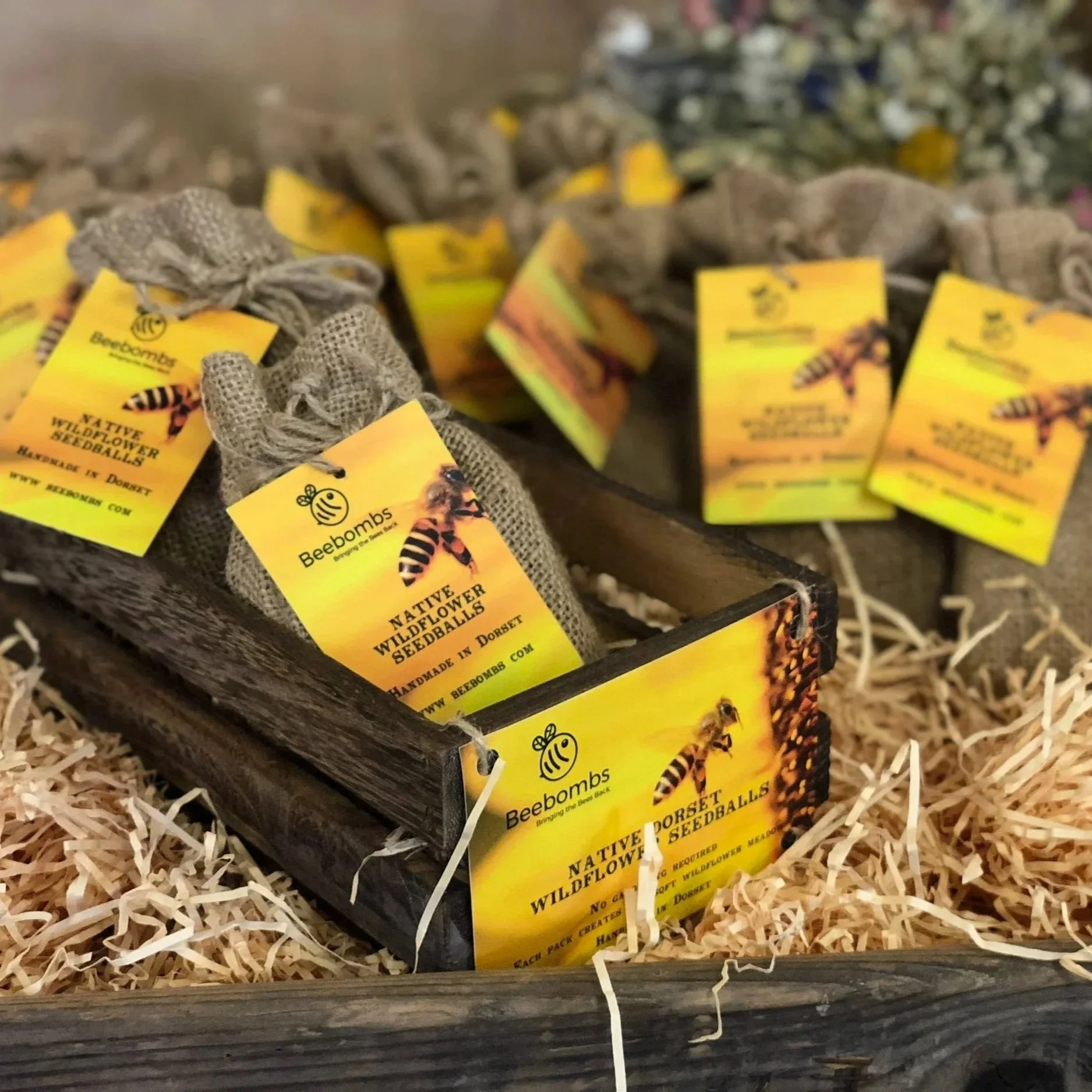 Beebombs%2Bwholesale.jpg