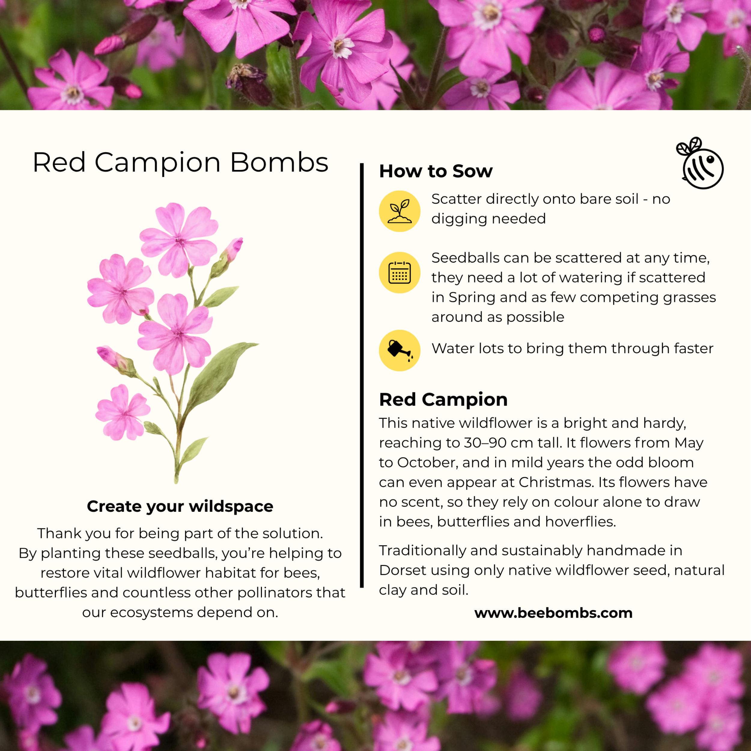 Red Campion info card