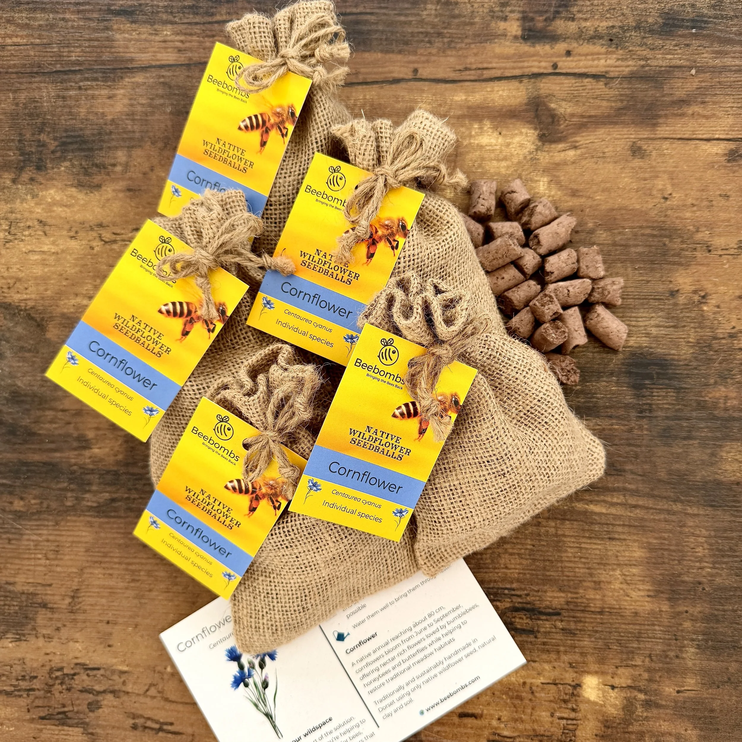 Cornflower square 5 pack.JPG